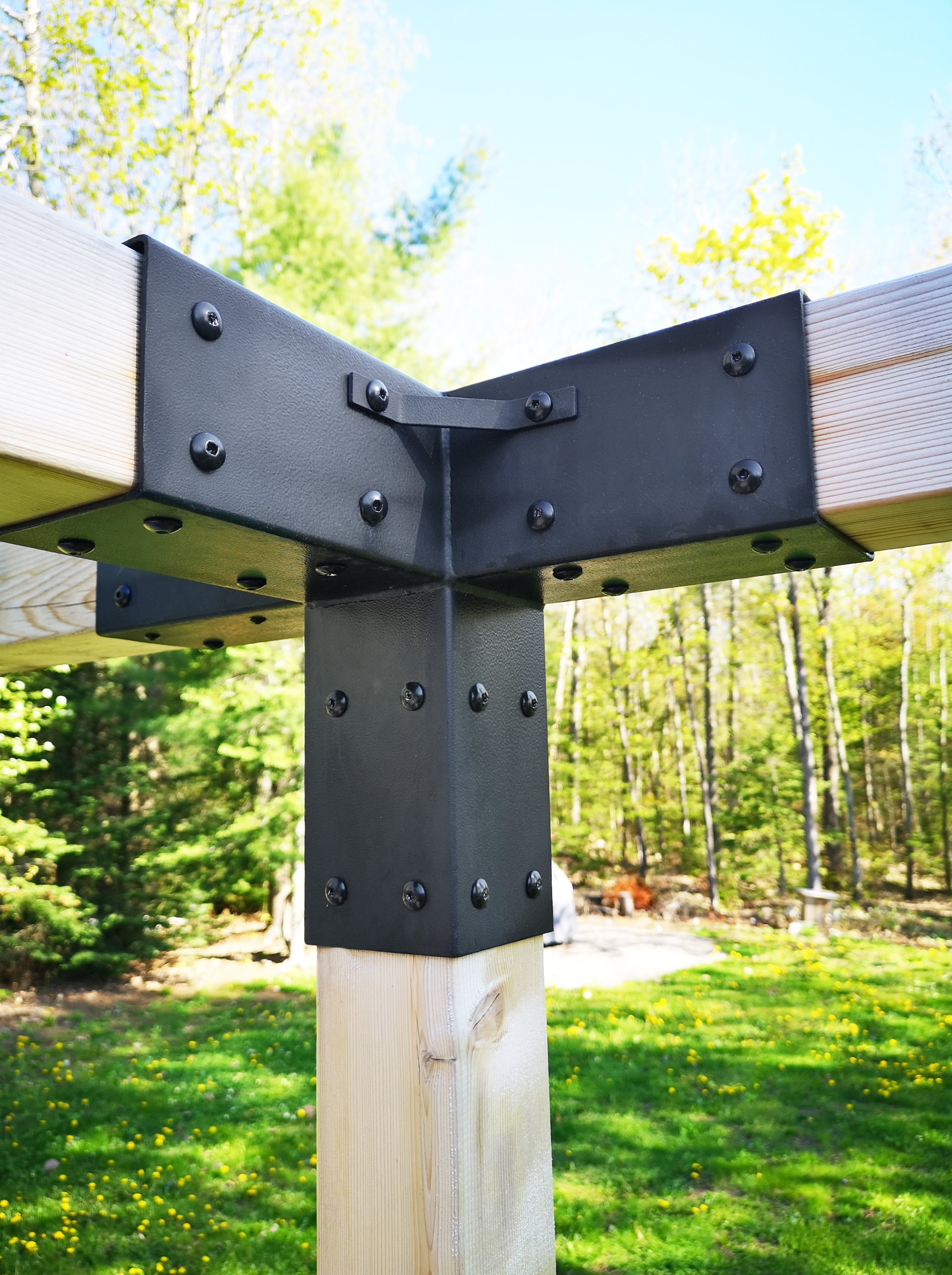 vis noire #8 1po en inox à tête "truss" (12x) Quai Lanaudière Saint-Donat